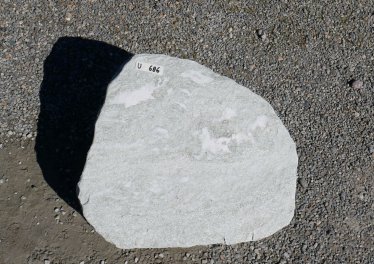  Vorschaubild U686-33944