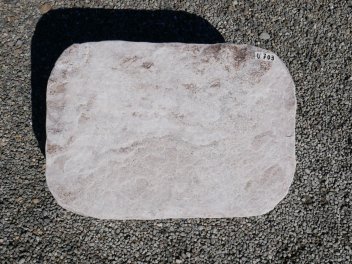  Vorschaubild U703-33952