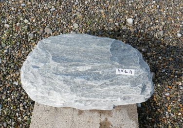  Vorschaubild U717-31764