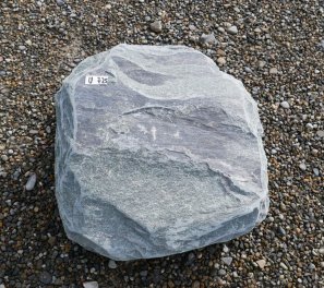  Vorschaubild U725-31772