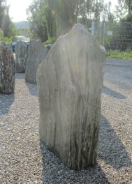  Vorschaubild V254-27052