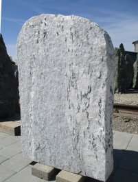  Vorschaubild W019-26559