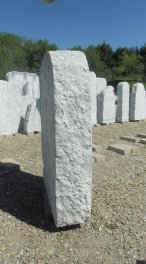  Vorschaubild W071-9451