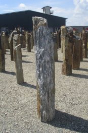  Vorschaubild WS067-28699